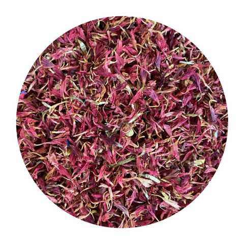 Dried Purple Cornflowers