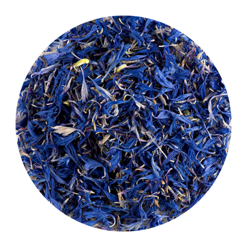 Dried Blue Cornflowers
