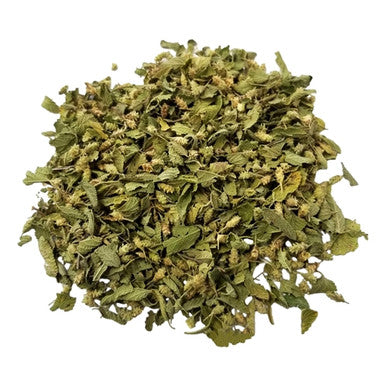 Mexican Oregano 15g