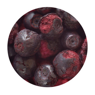 Freeze Dried Whole Blueberry 100gm